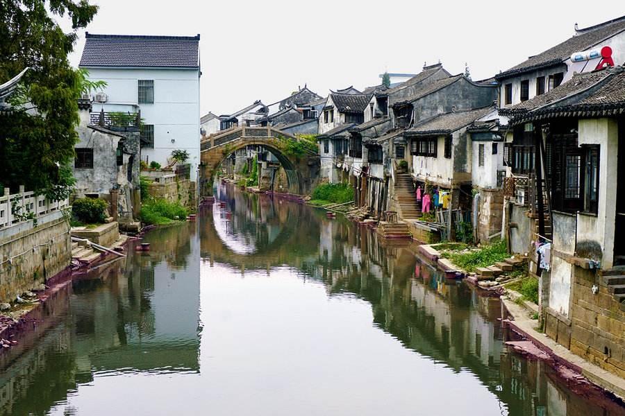 猫猫冒险团
